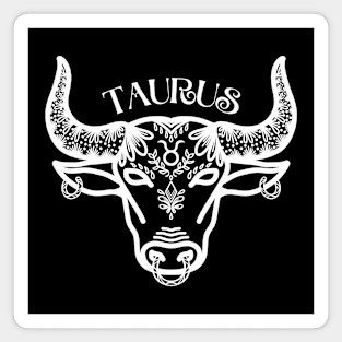 TAURUS Magnet